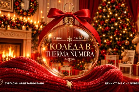 Christmas Offer
